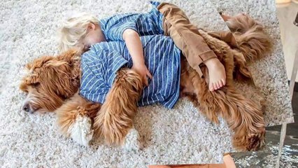 Dog and little Boy are true Friends watch now
