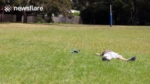 Drone hits sunbathing man