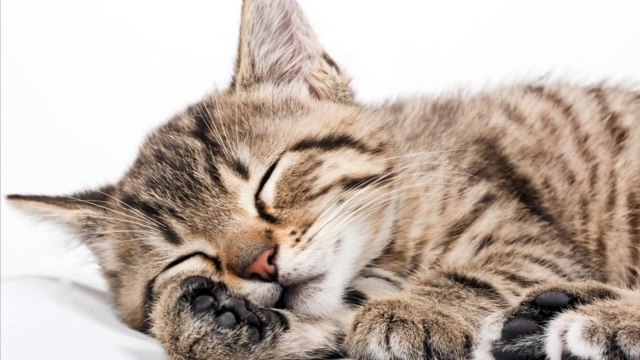 Beethoven Fur Elise | Lullabies for Babies | Classical Music for Babies | Baby Sleep Music