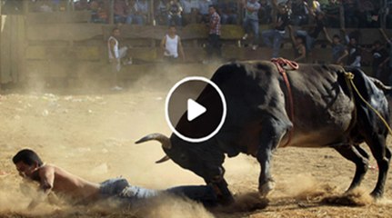 Heart wrenching fight of Thai bull for Life