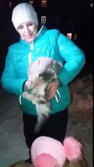 Le chat pris au piège dans la glace a été sauvé et a trouvé une famille !