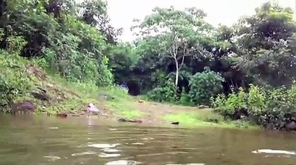 VID-20141202-WA0000-1