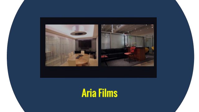 Indian Wedding Videography Chicago - Aria Films (773) 729-8429