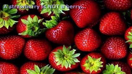 10 Weird Facts That Are True [HD]