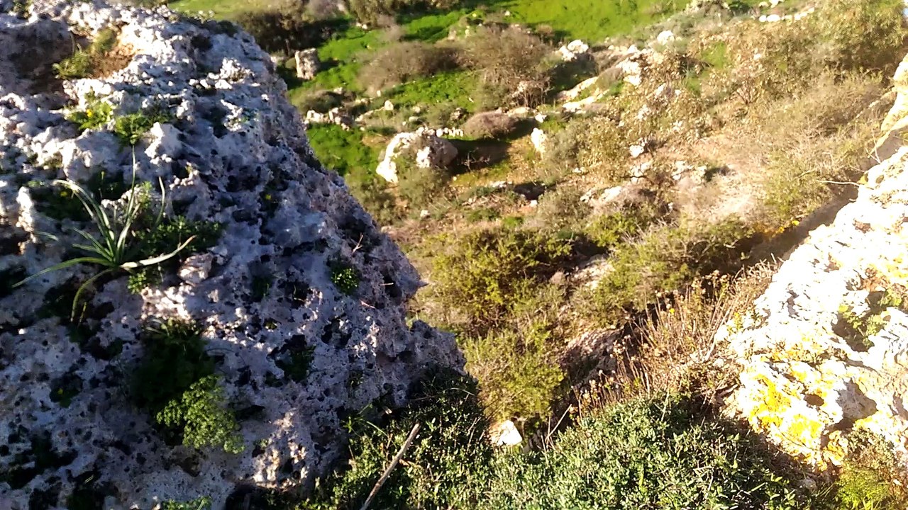 Malta - okolice Dingli Cliffs 2016.XII.29