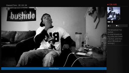 Planet Blaze Hip Hop Headquarters (40)