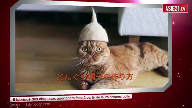 Il fabrique des chapeaux pour chats faits à partir de leurs propres poils