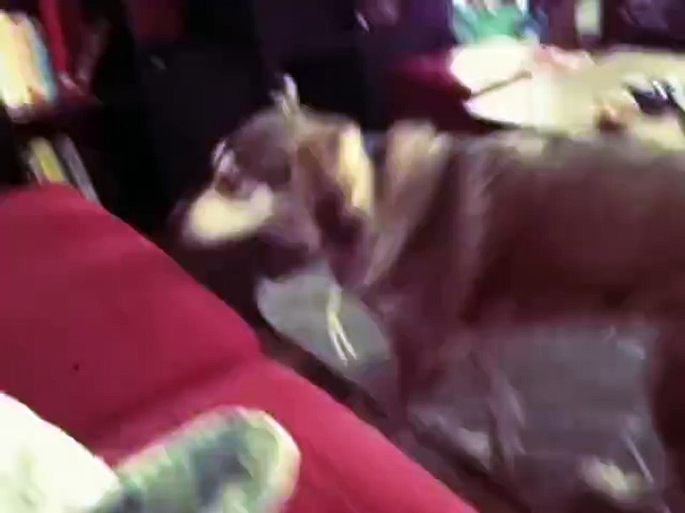 Autotune-Dog