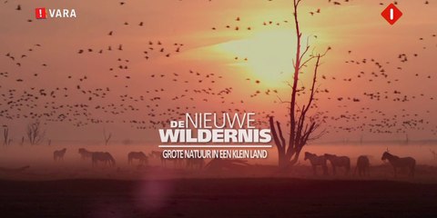 De Nieuwe Wildernis 01 - nieuw leven