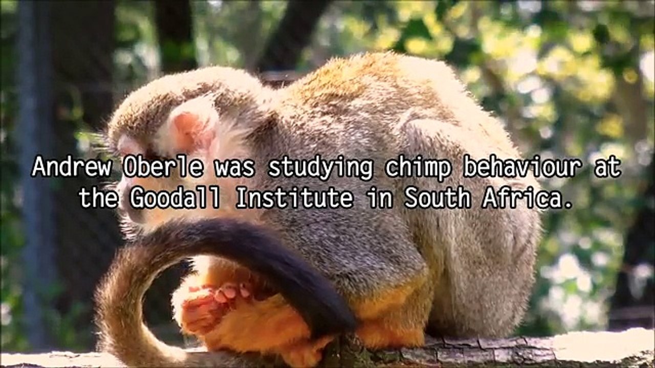 10 Deadliest Animal Attacks