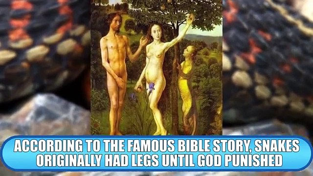 10 Most Shocking Real Mutations In Animals