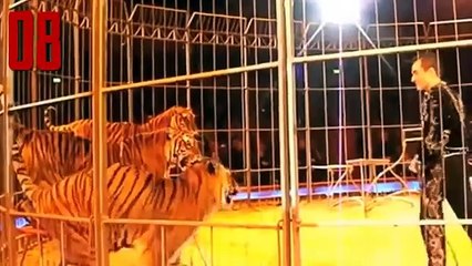 10 Scariest Animal Attacks On Humans