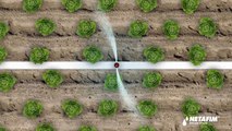 Netafim -  Soluzioni per l'Irrigazione a Goccia