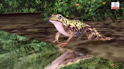 Captain America Vs Jurassic T-Rex Dinosaur Superhero Fights | 3D Animation Short Film | Funny Video