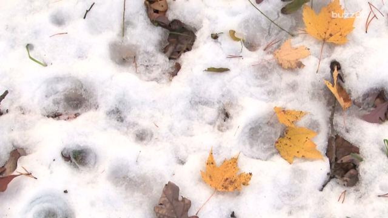 Arctic Blast Approaching the U.S.