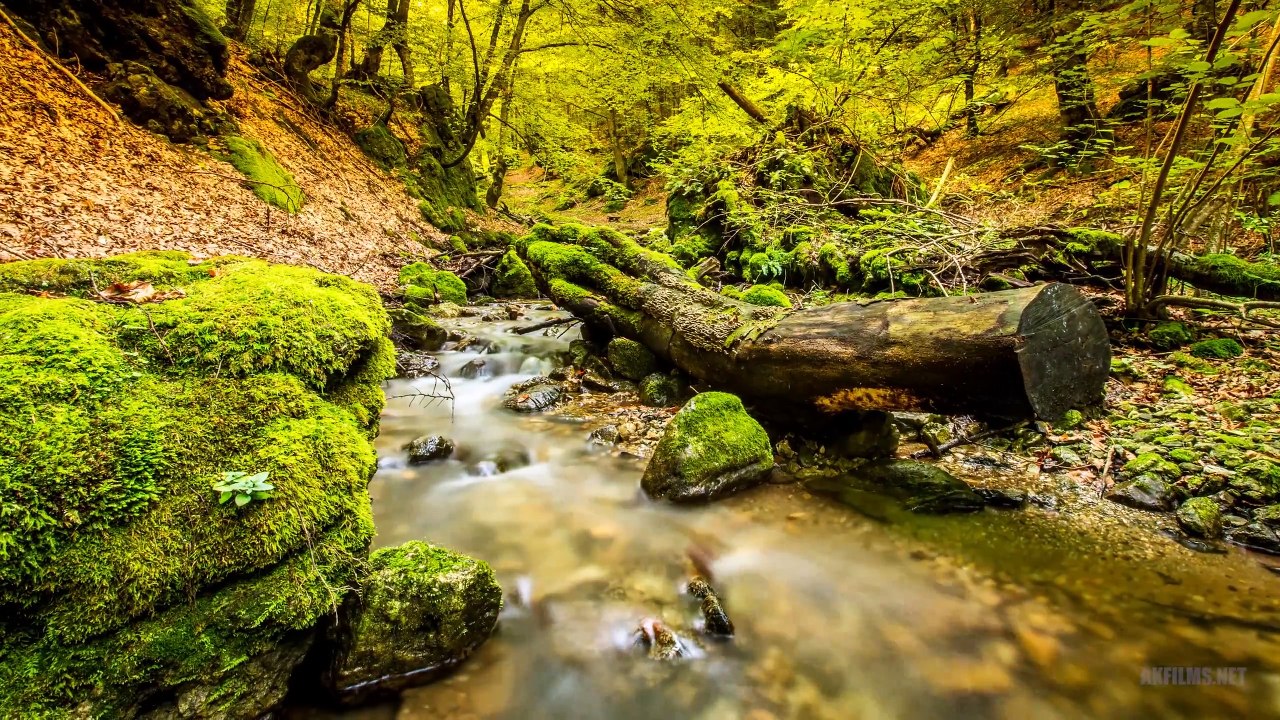 المناظر الطبيعي دقة عالية