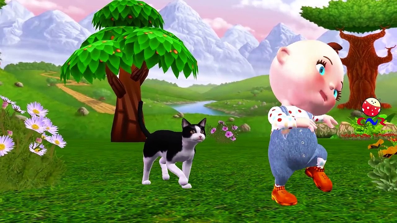 Little Baby Funny Cats Videos Compilation | Five Little Babies Three Little Kittens Nursery Rhymes