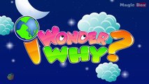 Why Does The Moon Change Shape? - I Wonder Why - Amazing & Interesting Fun Facts Video For Kids