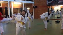 Cours de taekwondo pour les enfants handicapés