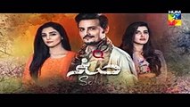 Sanam Episode 13 in HD on Hum Tv 5th December 2016