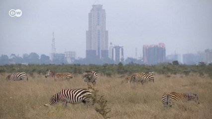 Milli park içinden geçen demiryolu hattı