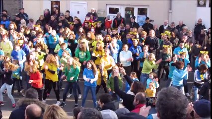 Avranches : flash mob du téléthon 3 décembre 2016