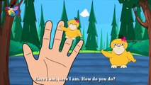 Cat Finger Family | Finger Family Collection | Nursery Rhymes for Children | Cartoon Rhymes