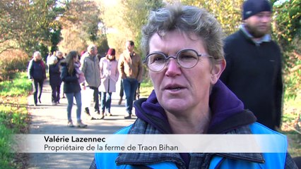 JT breton du lundi 5 décembre 2016 : le Stade brestois dans ses nouveaux murs !