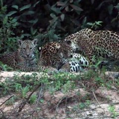 BBMA 2016 Full Show – Billboard Music Awards 2016