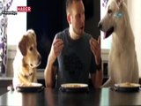 İki köpek ve bir adam spagetti yeme yarışına girdi