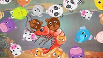 Animals Aquatic for kids - Learning Animals Names and Sounds