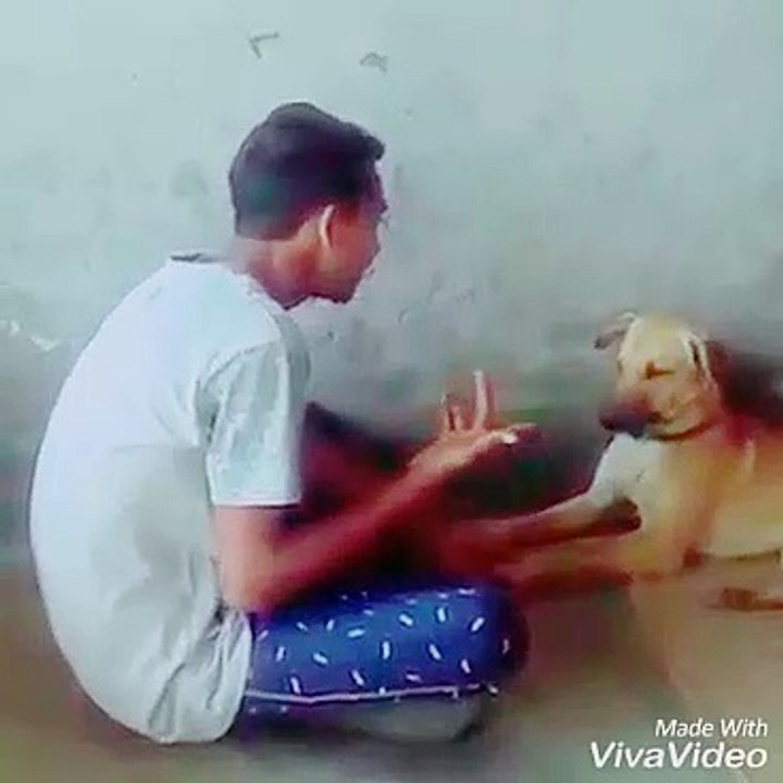 Funny whattsup compilation Of 2016