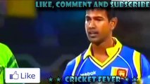 Best Destructive Pace Bowling in Cricket ●  Stumps Flying in Air ● Stumps Broken By Cricket Fever