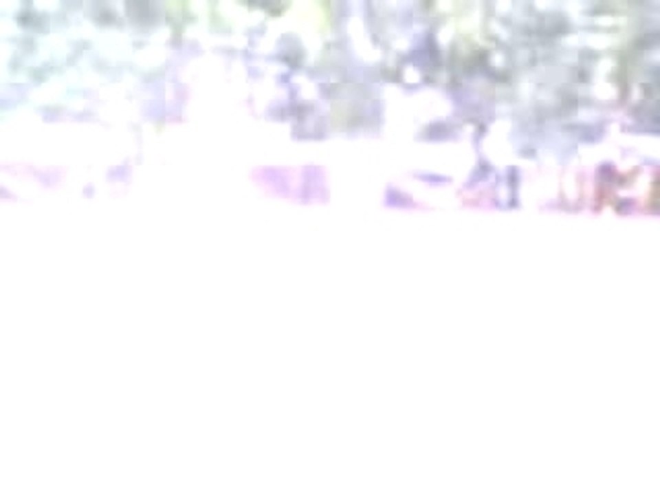Video-0003