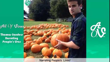 Funny Thomas Sanders Narrating People's Lives Vine Compilation | The Best Story Time Vines