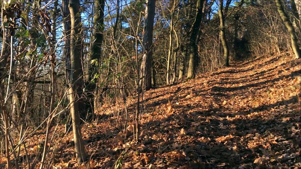 Weißenburg November 2016