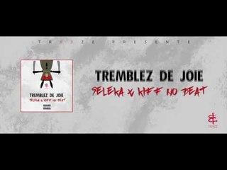 Seleka Feat. Kiff No Beat - Tremblez De Joie (Prod. By Shado Chris)