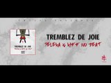 Seleka Feat. Kiff No Beat - Tremblez De Joie (Prod. By Shado Chris)