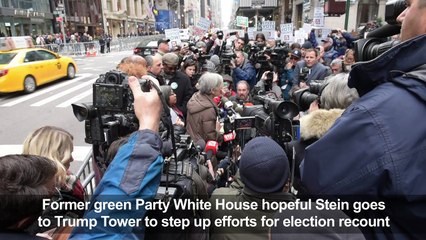 US vote: Stein goes to Trump Tower to step up recount drive