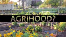 America’s First Sustainable Urban Agrihood Debuts in Detroit | General Motors