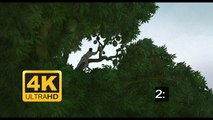 The Red Turtle (La tortue rouge) (2017) Film Complet Gratuit en FranÃ§ais Online  VF 1080p 4K Ultra HD
