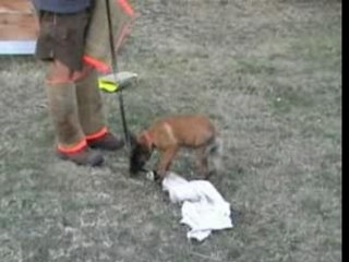 Be Aware Aramaki-Schutz-19.08.2007