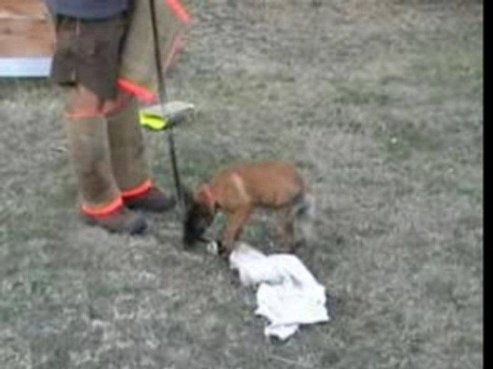 Be Aware Aramaki-Schutz-19.08.2007