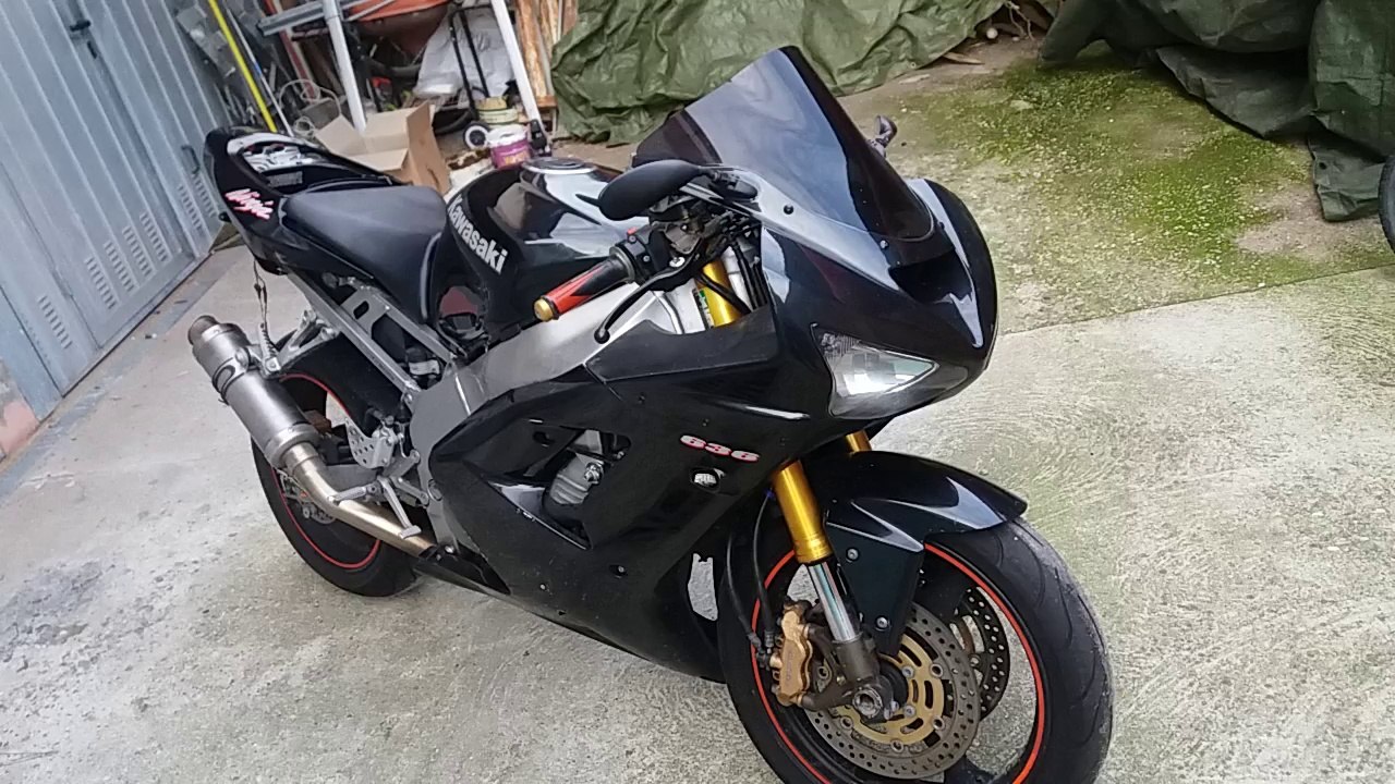 Kawasaki Gift Shark