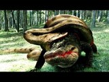 Anaconda vs Cocodrilo - Lagarto vs Serpiente (Lucha Real) - Vida Salvaje Animal