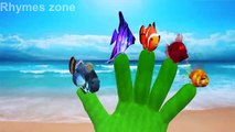 Fish Finger family Nursery Rhymes.3D animation cartoons for children