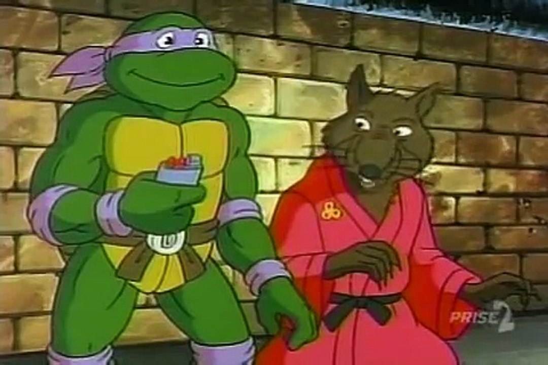 Tortues Ninja Les Chevaliers décaille S05E06 - Sale temps pour Donatello