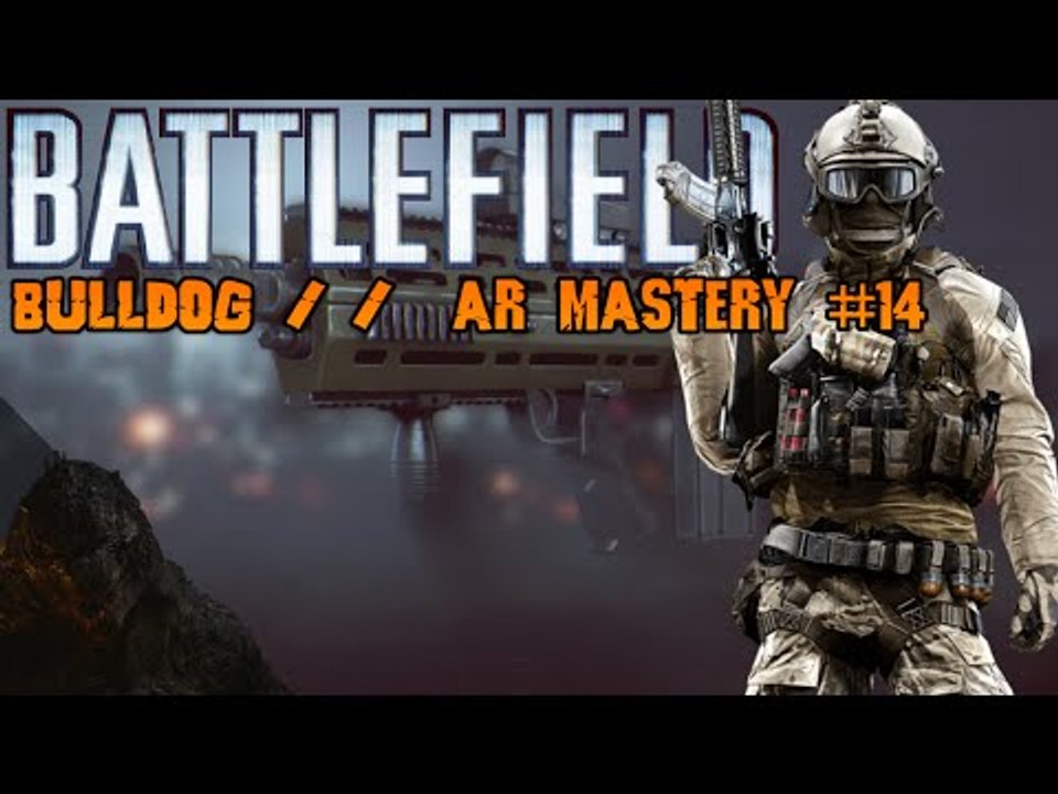 Bulldog // AR Master #14