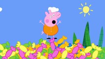 Peppa Pig Becomes Very FAT Eating Too Much Candy Doctor Makes Injection to Save Peppa Pig