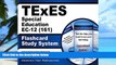 Pre Order TExES Special Education EC-12 (161) Flashcard Study System: TExES Test Practice